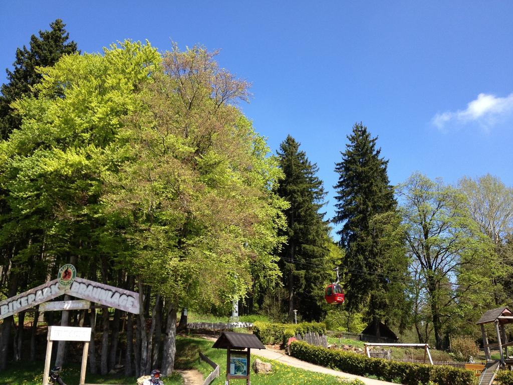 Hotel Hostel Braunlage 2*